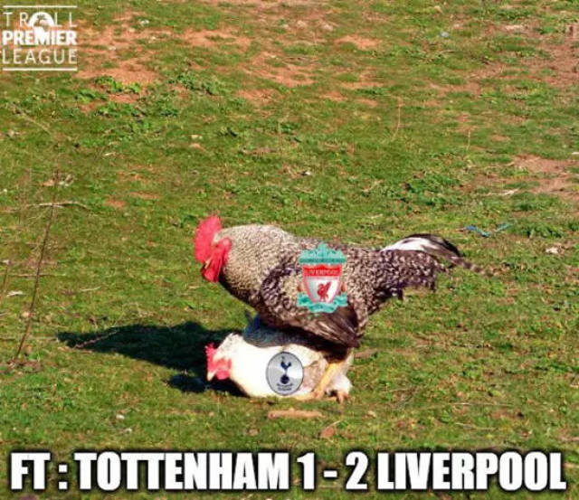 汪涵老婆杨乐乐带儿子参加马术比赛 11岁的沐沐侧脸像爸爸