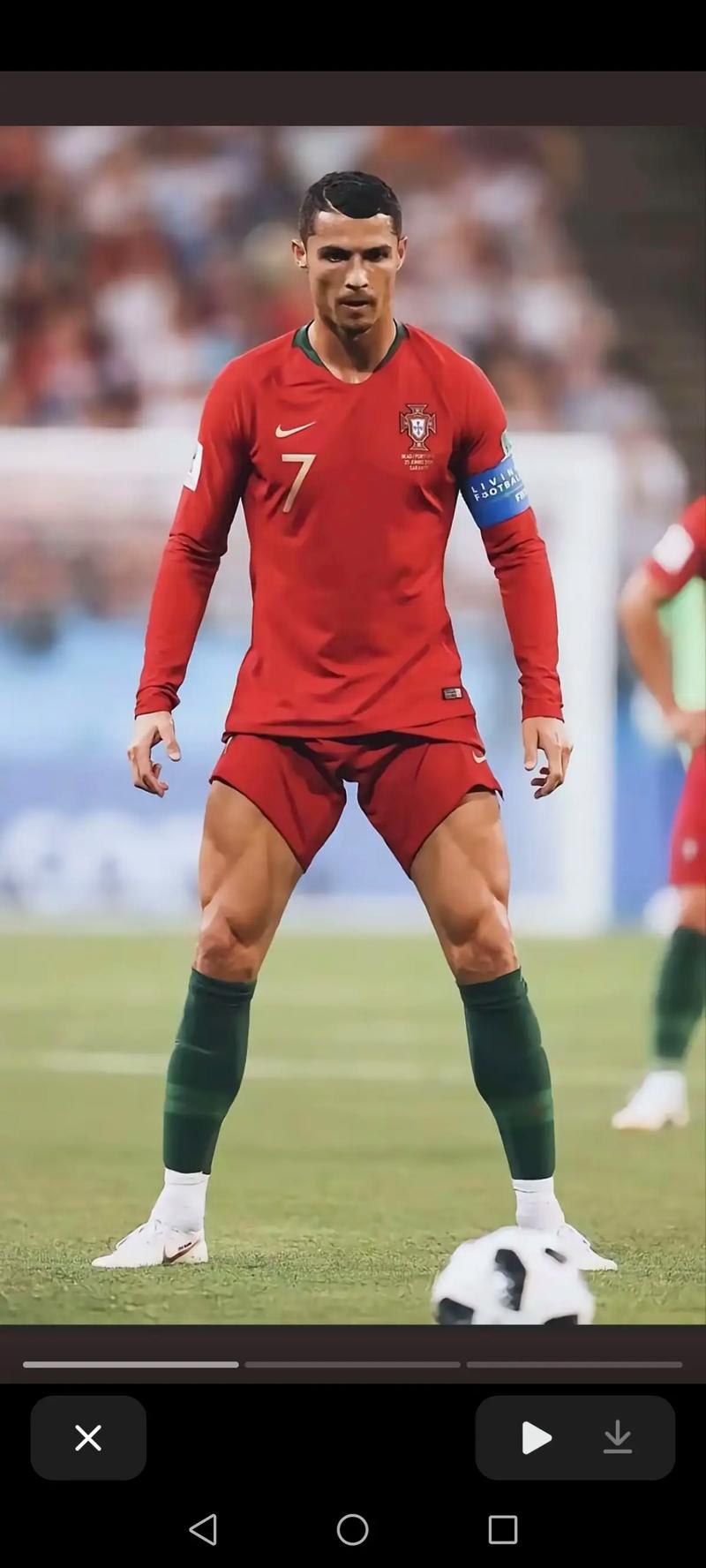 早报：悲欢并不相通